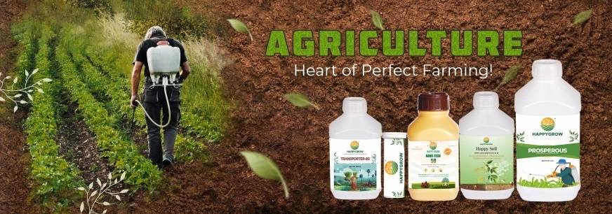 Adding Greenery to Your Life!